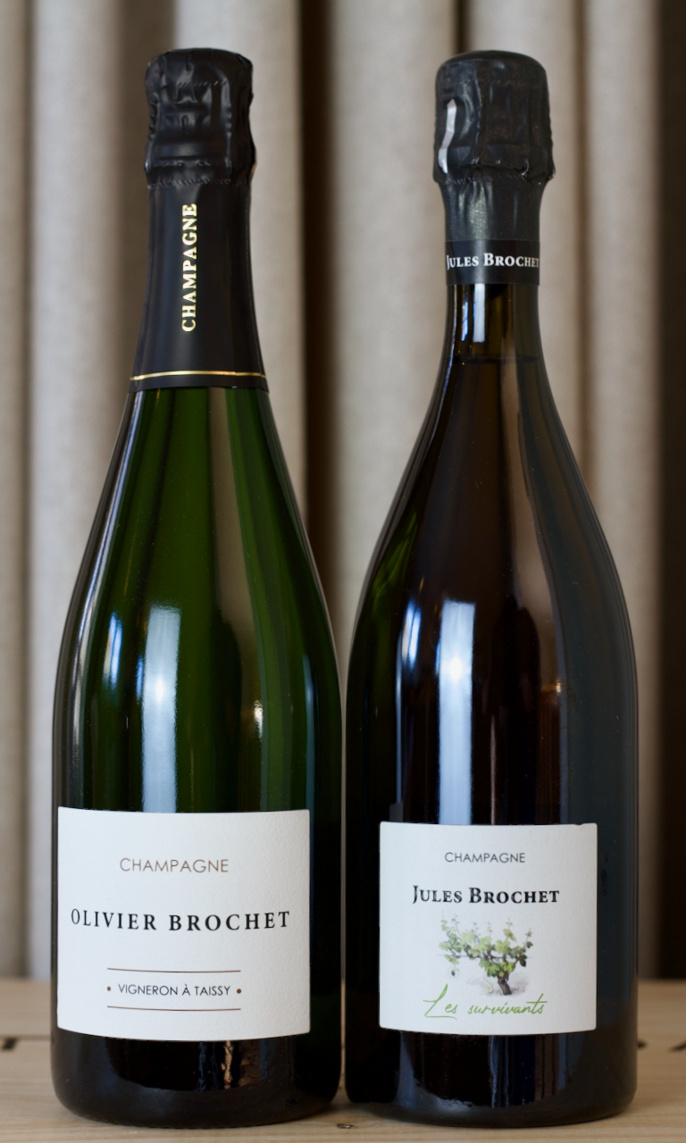 Jules Brochet pakke, Les Survivants