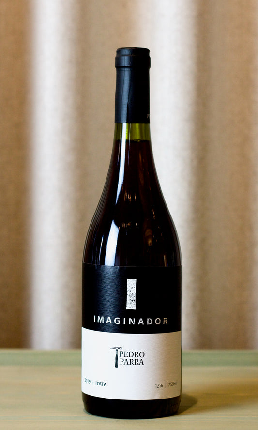 Pedro Parra Imaginador 2019